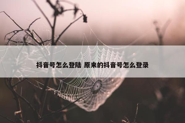 抖音号怎么登陆 原来的抖音号怎么登录