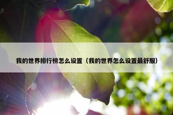 我的世界排行榜怎么设置（我的世界怎么设置最舒服）