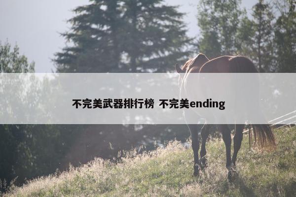 不完美武器排行榜 不完美ending