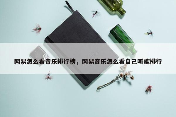 网易怎么看音乐排行榜，网易音乐怎么看自己听歌排行