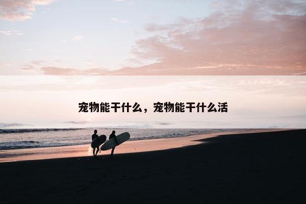 宠物能干什么，宠物能干什么活