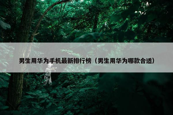 男生用华为手机最新排行榜（男生用华为哪款合适）