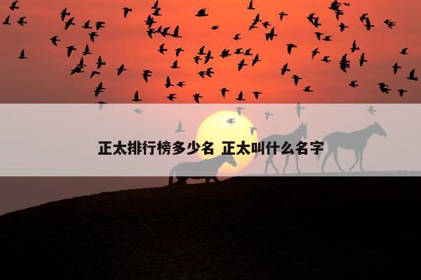 正太排行榜多少名 正太叫什么名字