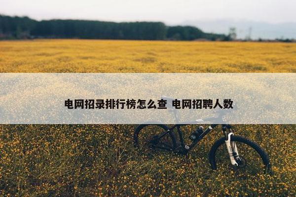 电网招录排行榜怎么查 电网招聘人数