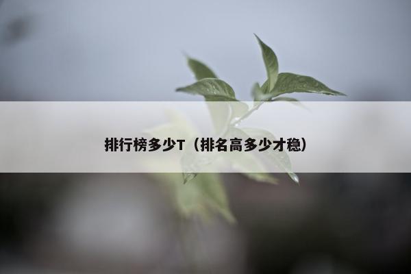 排行榜多少T（排名高多少才稳）