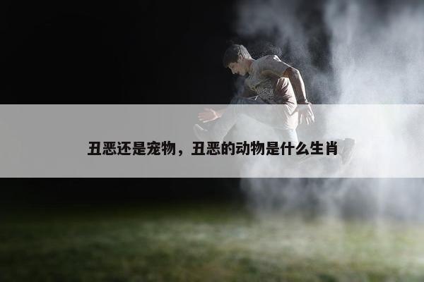 丑恶还是宠物，丑恶的动物是什么生肖