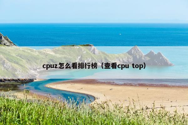 cpuz怎么看排行榜（查看cpu top）