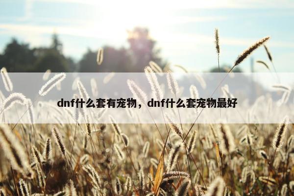 dnf什么套有宠物，dnf什么套宠物最好