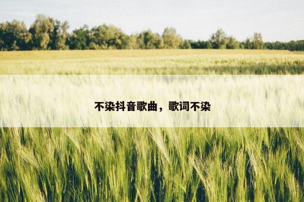 不染抖音歌曲，歌词不染