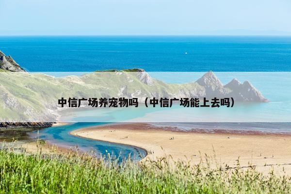 中信广场养宠物吗（中信广场能上去吗）