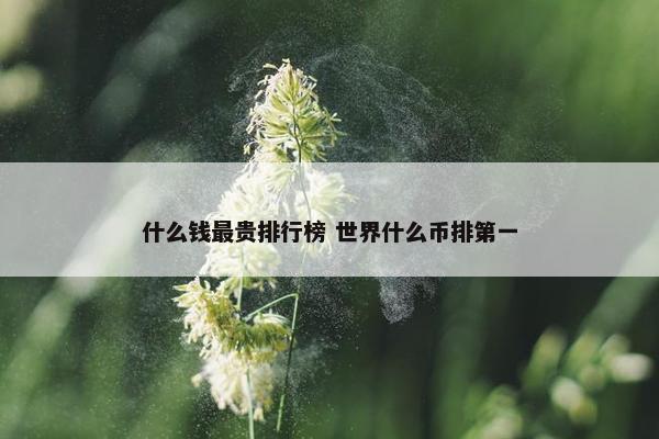 什么钱最贵排行榜 世界什么币排第一