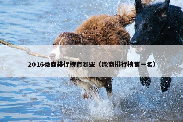 2016微商排行榜有哪些（微商排行榜第一名）