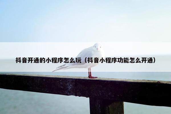 抖音开通的小程序怎么玩（抖音小程序功能怎么开通）