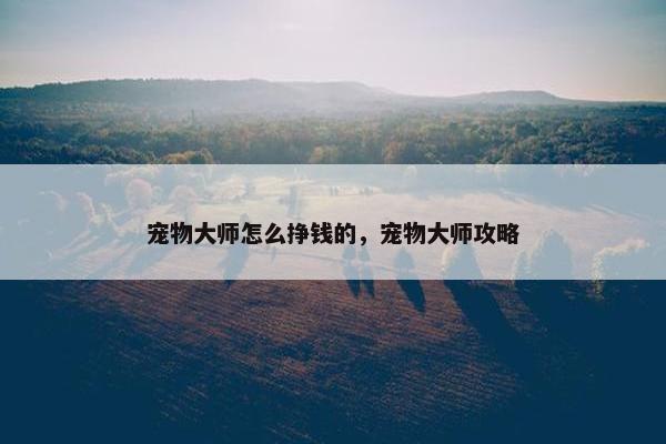 宠物大师怎么挣钱的，宠物大师攻略