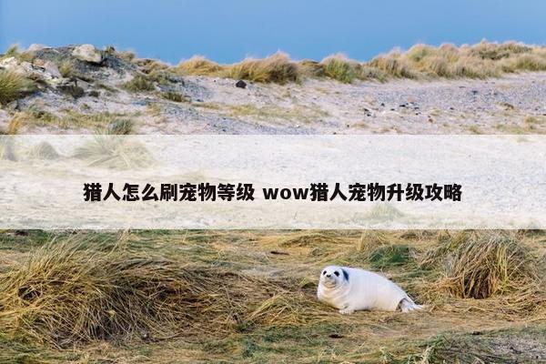 猎人怎么刷宠物等级 wow猎人宠物升级攻略