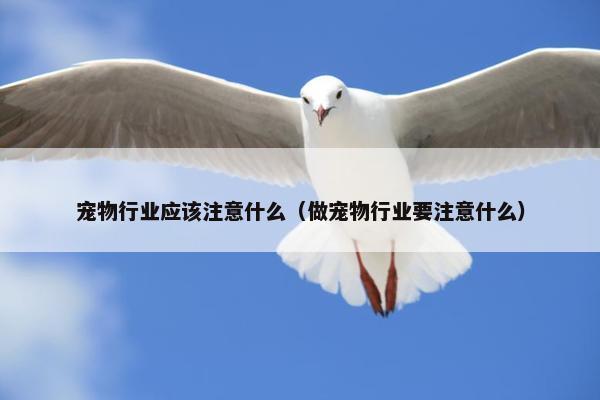 宠物行业应该注意什么（做宠物行业要注意什么）