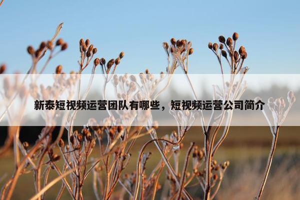 新泰短视频运营团队有哪些，短视频运营公司简介