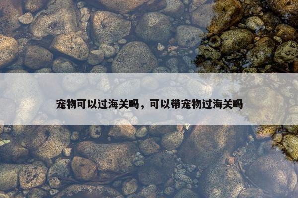 宠物可以过海关吗，可以带宠物过海关吗