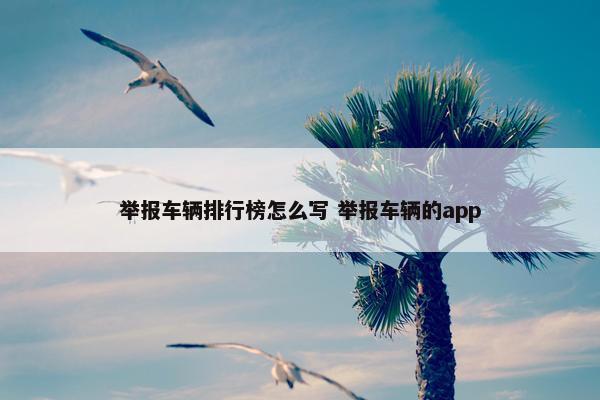 举报车辆排行榜怎么写 举报车辆的app