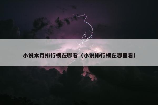 小说本月排行榜在哪看（小说排行榜在哪里看）