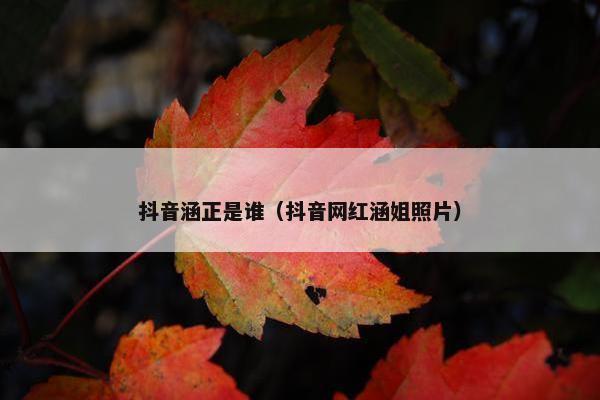 抖音涵正是谁（抖音网红涵姐照片）