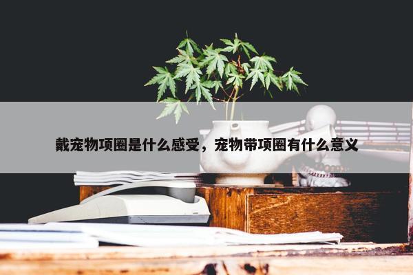 戴宠物项圈是什么感受，宠物带项圈有什么意义