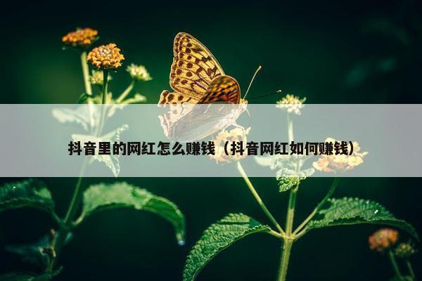 抖音里的网红怎么赚钱（抖音网红如何赚钱）