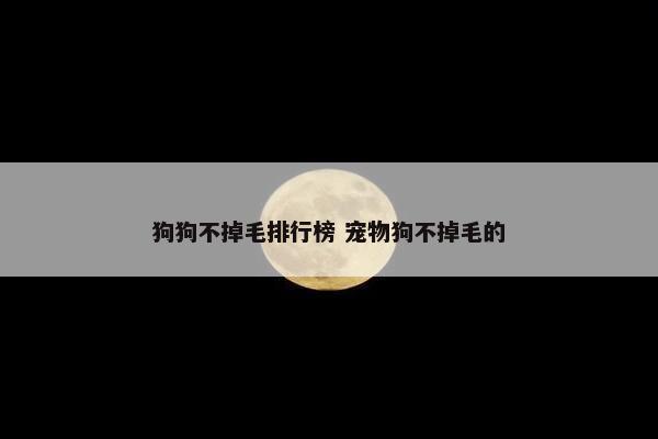 狗狗不掉毛排行榜 宠物狗不掉毛的