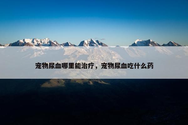 宠物尿血哪里能治疗，宠物尿血吃什么药