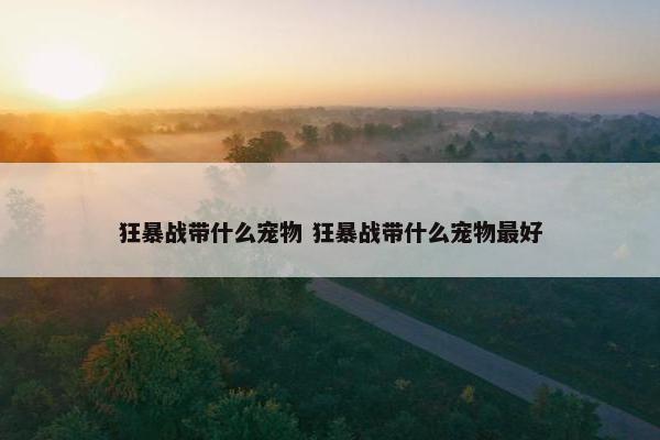 狂暴战带什么宠物 狂暴战带什么宠物最好