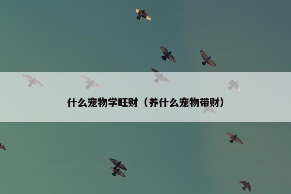 什么宠物学旺财（养什么宠物带财）