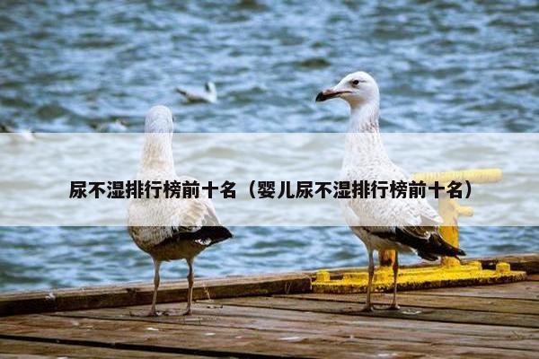 尿不湿排行榜前十名（婴儿尿不湿排行榜前十名）