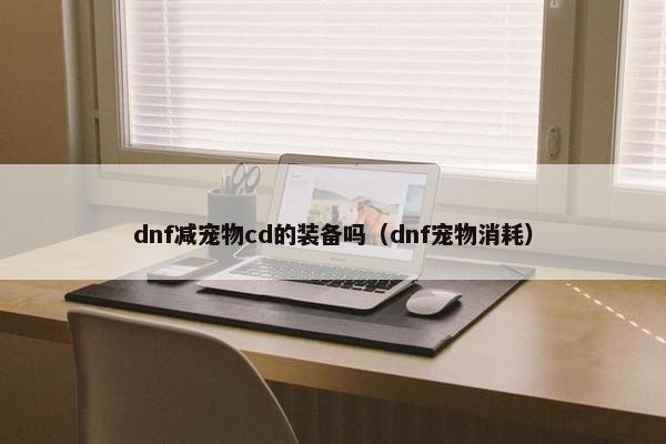 dnf减宠物cd的装备吗（dnf宠物消耗）