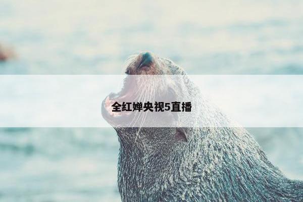 全红婵央视5直播