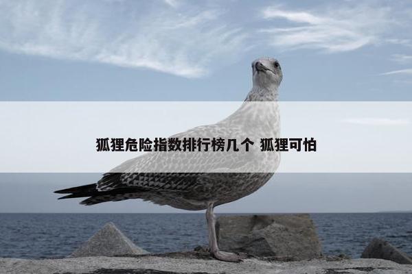 狐狸危险指数排行榜几个 狐狸可怕