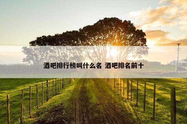 酒吧排行榜叫什么名 酒吧排名前十