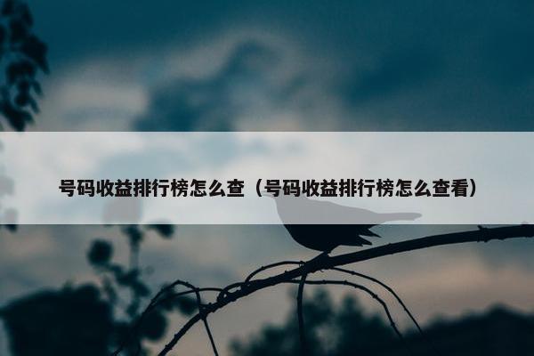 号码收益排行榜怎么查（号码收益排行榜怎么查看）