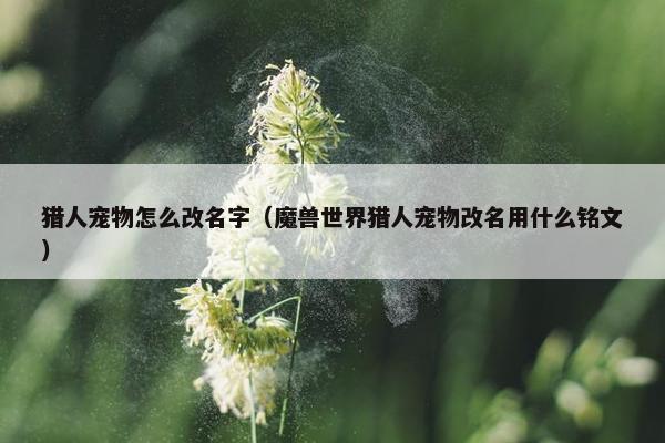 猎人宠物怎么改名字（魔兽世界猎人宠物改名用什么铭文）