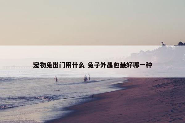 宠物兔出门用什么 兔子外出包最好哪一种