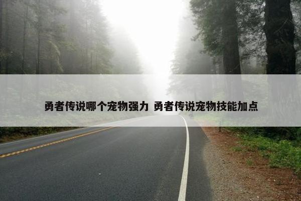 勇者传说哪个宠物强力 勇者传说宠物技能加点