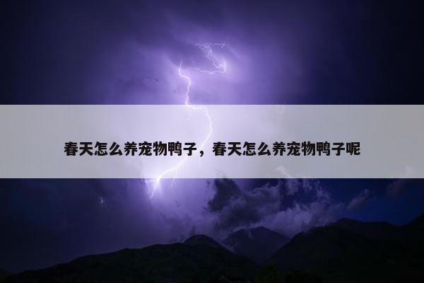 春天怎么养宠物鸭子，春天怎么养宠物鸭子呢