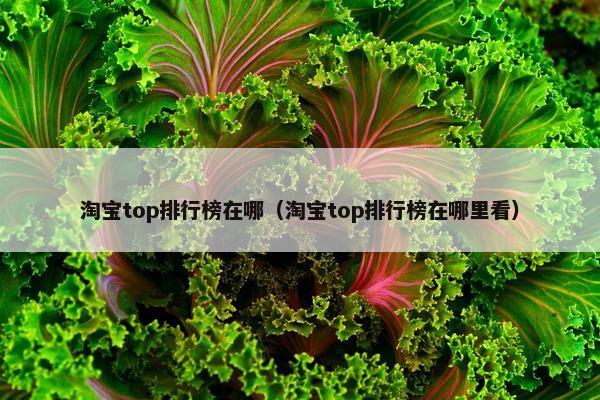 淘宝top排行榜在哪（淘宝top排行榜在哪里看）