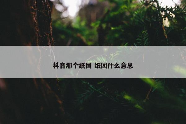 抖音那个纸团 纸团什么意思