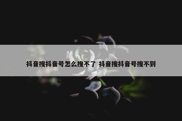 抖音搜抖音号怎么搜不了 抖音搜抖音号搜不到