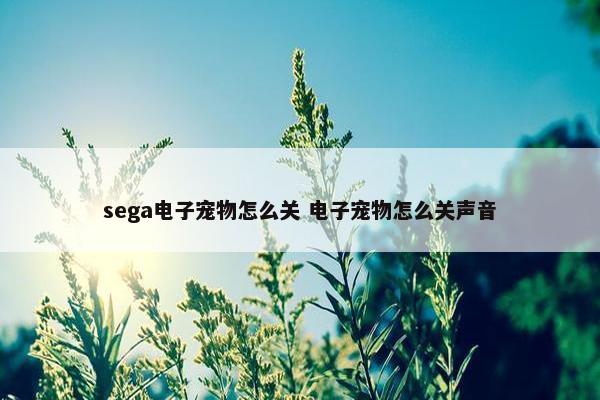 sega电子宠物怎么关 电子宠物怎么关声音