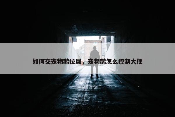 如何交宠物鹅拉屎，宠物鹅怎么控制大便