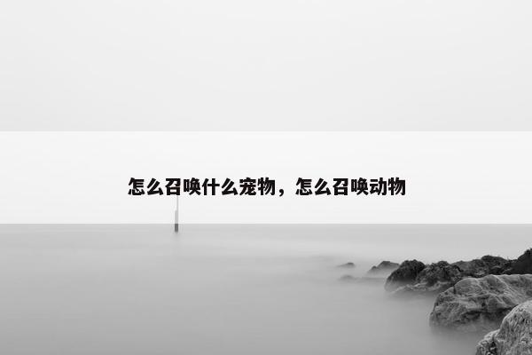 怎么召唤什么宠物，怎么召唤动物