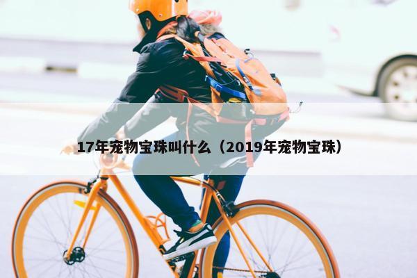 17年宠物宝珠叫什么（2019年宠物宝珠）