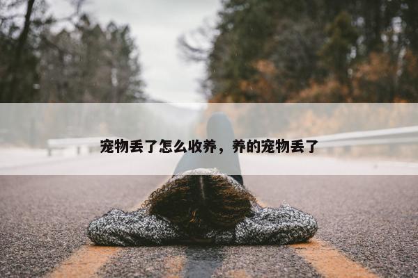 宠物丢了怎么收养，养的宠物丢了