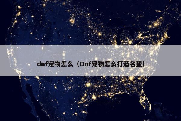 dnf宠物怎么（Dnf宠物怎么打造名望）